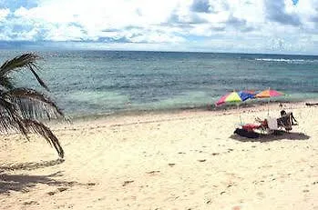 Hotel Turtle Nest Inn & Condos Bodden Town